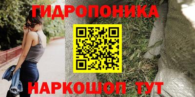 эйфоретик Будённовск