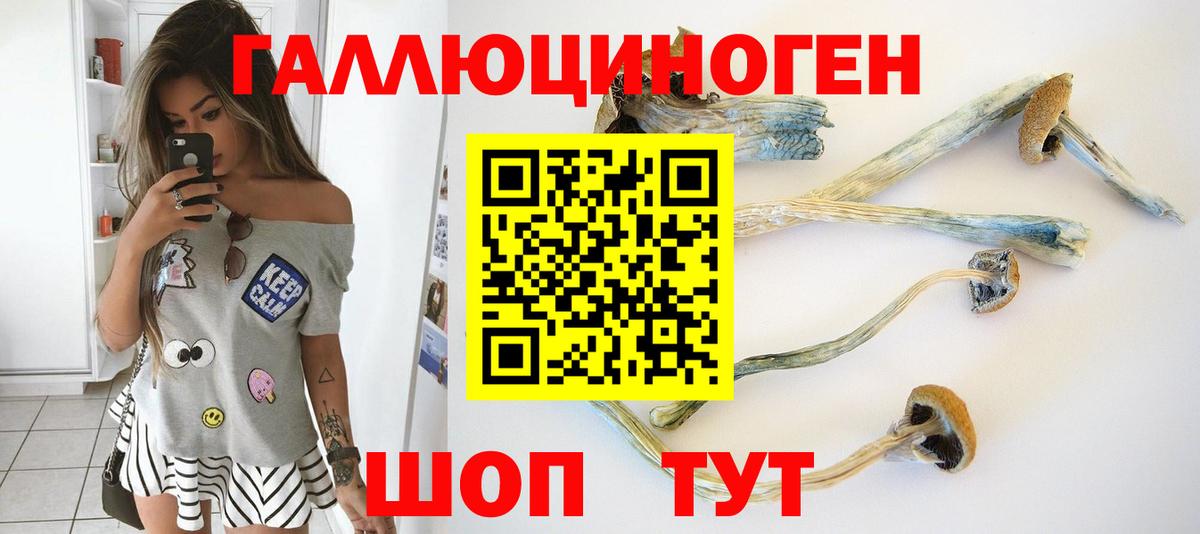 Псилоцибиновые грибы MAGIC MUSHROOMS Шали