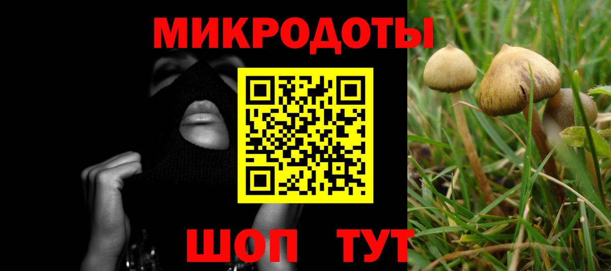 Псилоцибиновые грибы Psilocybine cubensis  Вход с VPN  Шали 